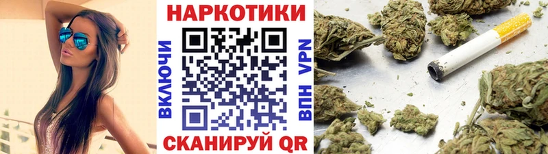 Где найти наркотики Новодвинск COCAIN  Бошки Шишки  АМФ  ГАШ  Меф  Альфа ПВП 