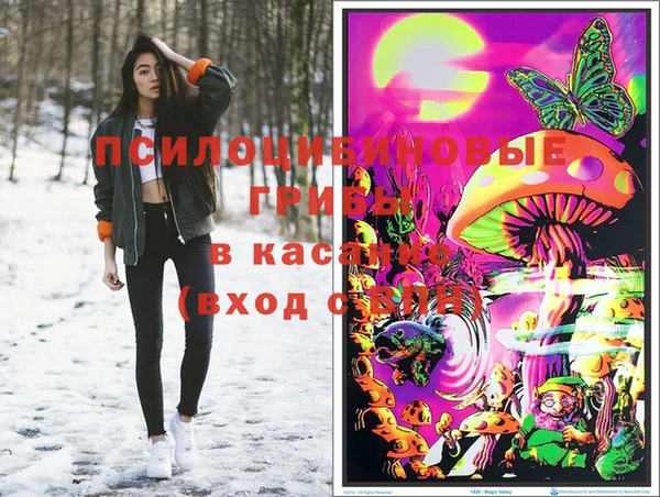 винт Алексин