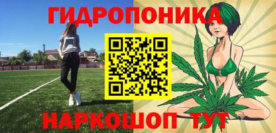 прущие грибы Нягань