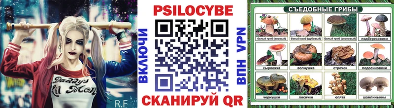 Галлюциногенные грибы Cubensis  наркошоп  Новодвинск 