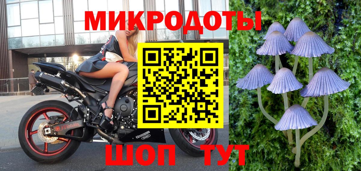 закладка  Псилоцибиновые грибы мухоморы  Псилоцибиновые грибы мицелий  Вход с VPN  Новодвинск 